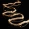 8 Pack: 10ft. LED Rope String Lights by Ashland&#x2122;